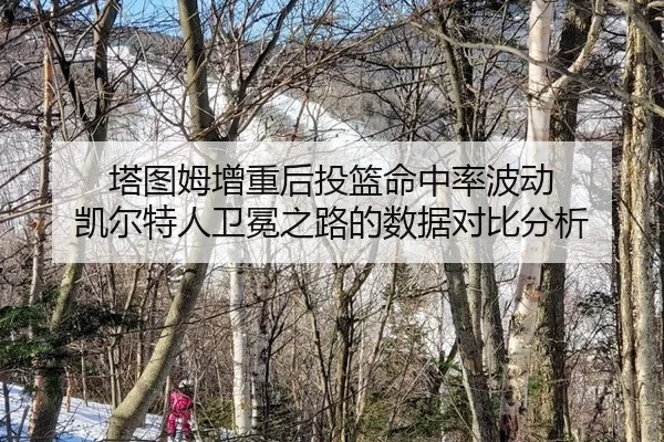 ta-tu-mu-zeng-zhong-hou-tou-lan-ming-zhong-lv-bo-dong-kai-er-te-ren-wei-mian-zhi-lu-de-shu-ju-dui-bi-fen-xi-2-613.jpg
